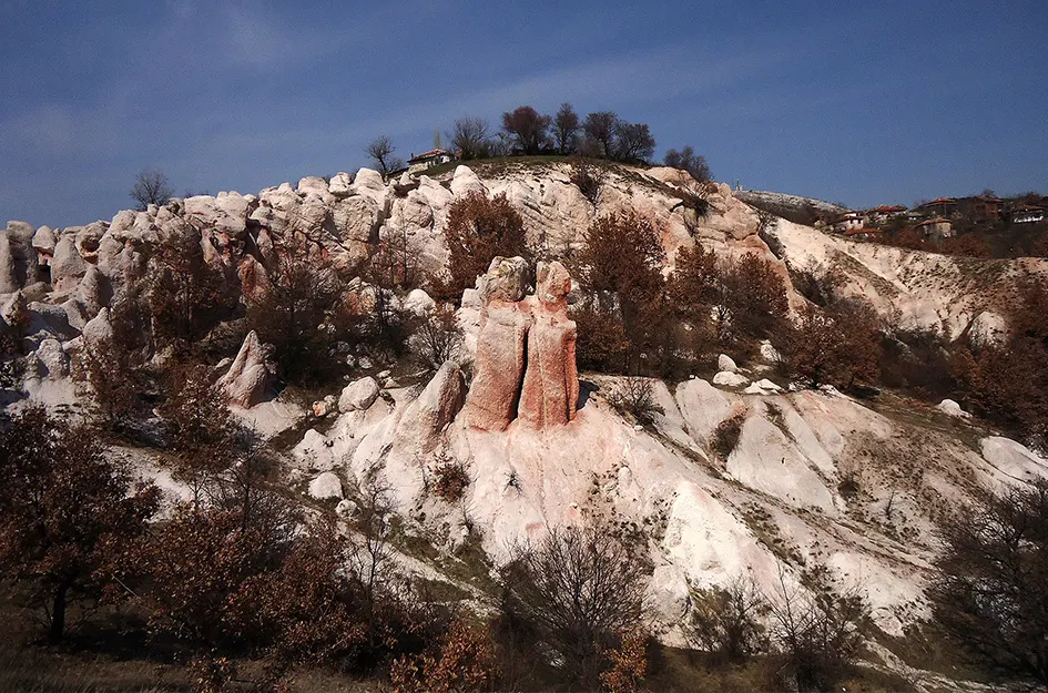 Каменните гъби