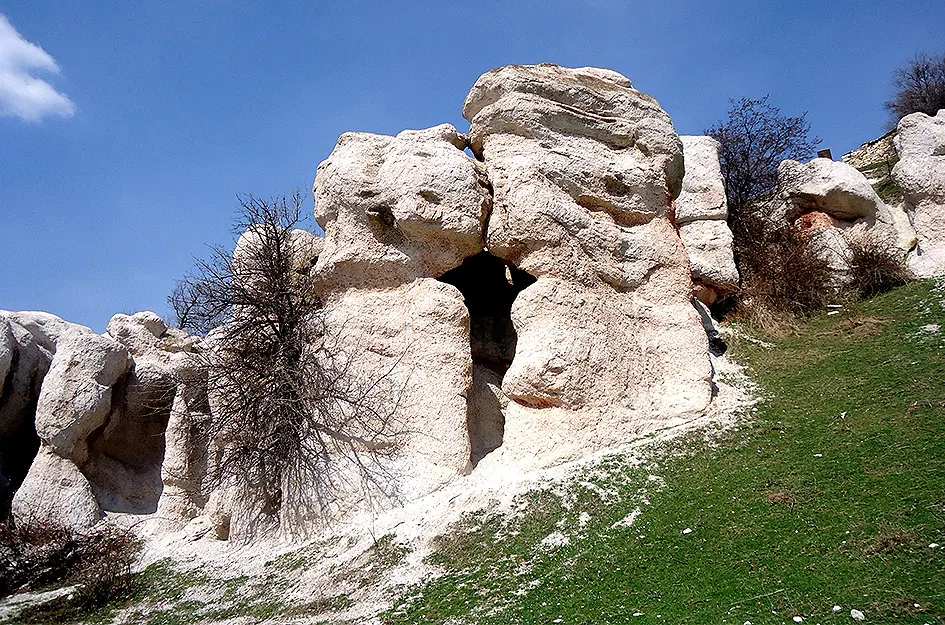 Каменните гъби