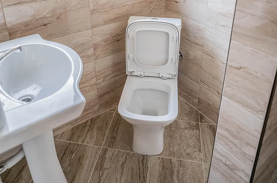 Двойни стаи